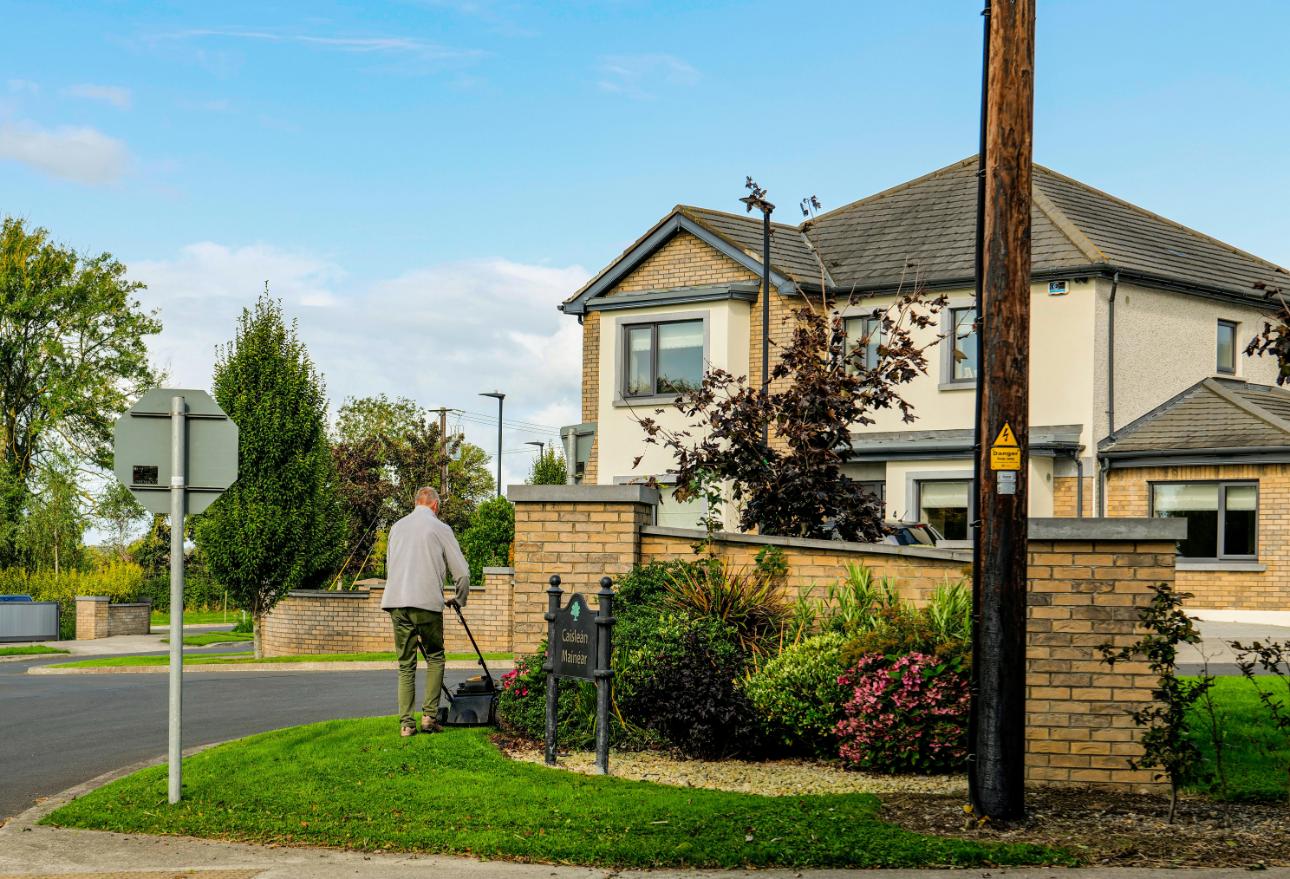 A man using an electric mower in a garden on a sunny day, capturing outdoor chores and gardening vibes.
